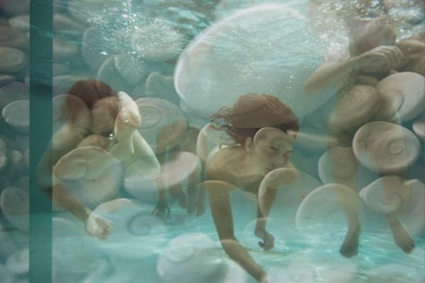 Tal Eshed, In Motion, 2009