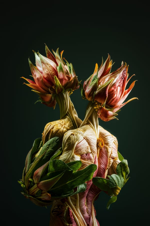 Roy Adin, Interconnected, 2024