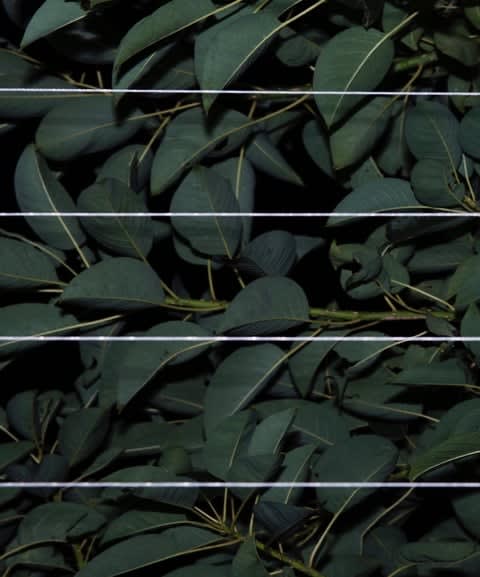 Ariel Reichman, Kerry Road - Johannesburg 1, 2015