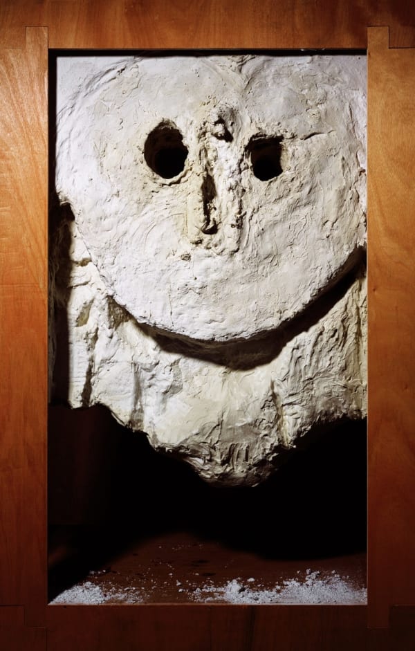 Amon Yariv, Barn Owl, 2011