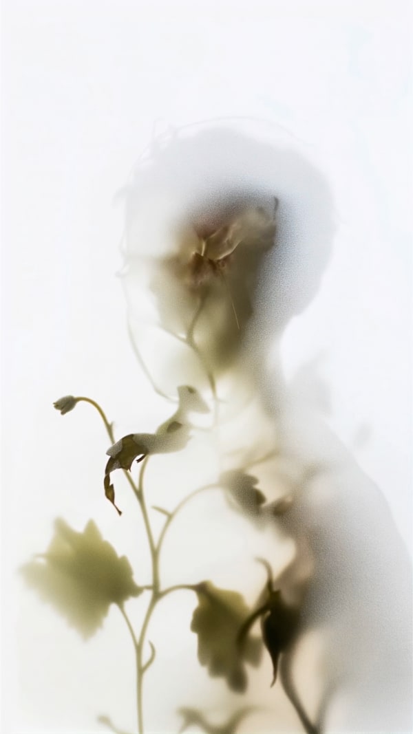 Roy Adin, Invisible Force, 2025