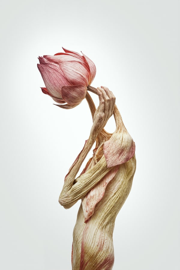 Roy Adin, Bloomlust, 2024