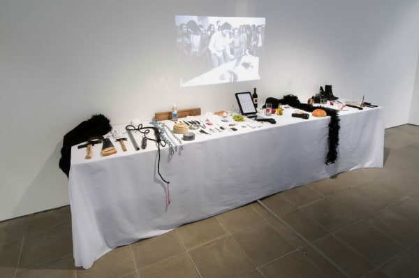 Marina Abramovic, Rhythm 0, 1974