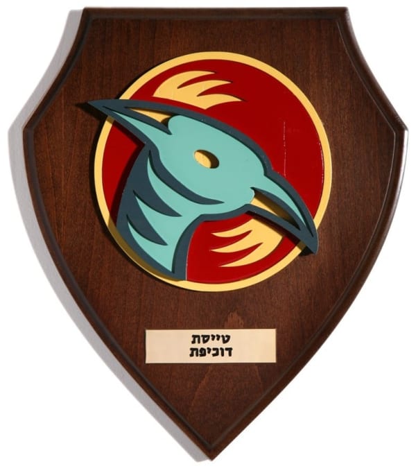 Ido Michaeli, Hoopoe Squadron, 2008