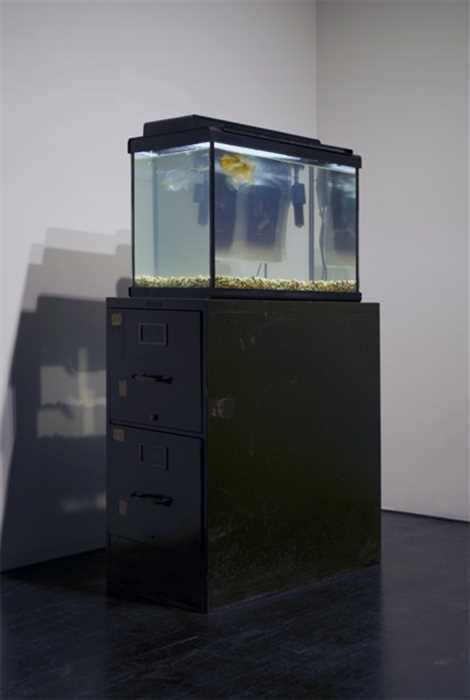 Tommy Hartung, B-Roll, 2009