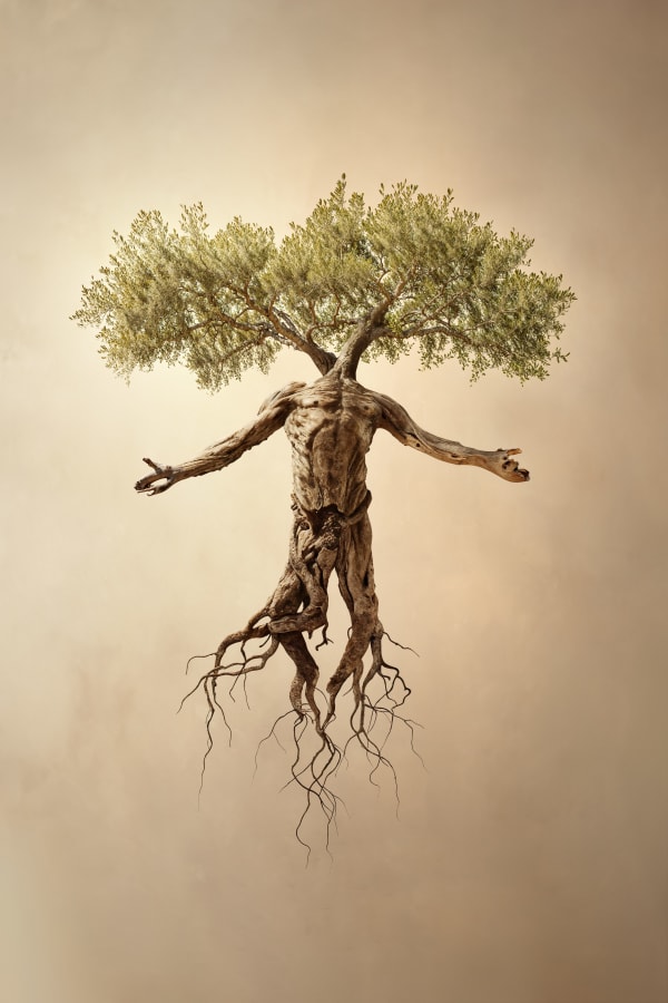 Roy Adin, Open Arms, 2024