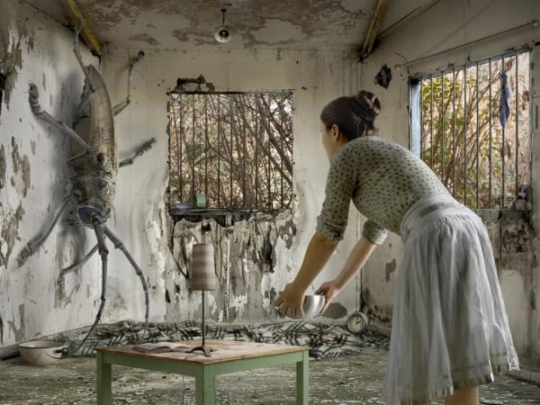 Ilan Segev, Metamorphosis, 2009