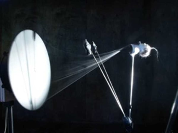 Tommy Hartung, The Ascent Of Man, 2009