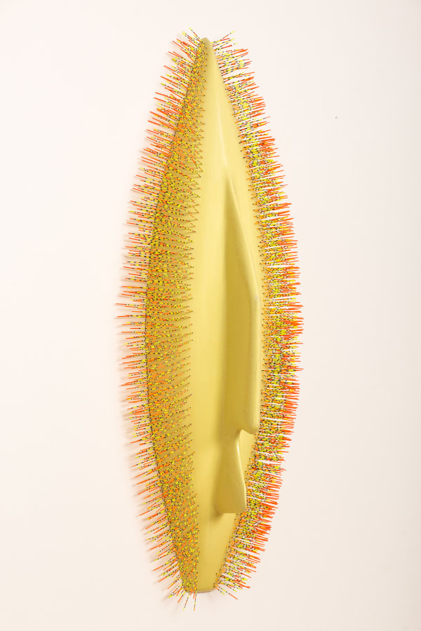 Lisa Vandy, Yellow Waggler, 2015