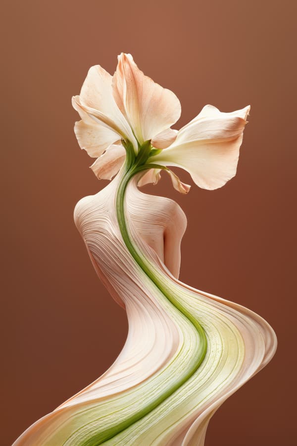 Roy Adin, Path of Growth, 2024