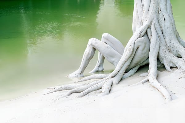 Roy Adin, Untouched Waters, 2024