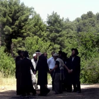 Sally Macklef-Meshel, Hasidic circle, 2008