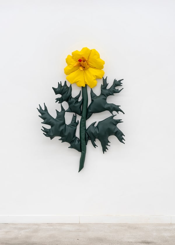 Al Freeman, Mexican Poppy, 2024