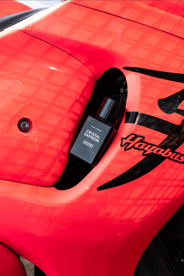 Julien Boudet, Saffron in the Falcon's Heart, 2024