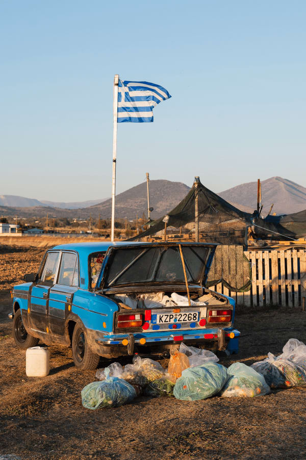 Julien Boudet, Harvest Beneath the Flag, 2024
