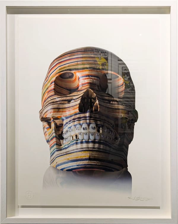 Haroshi, Framed, Skull, 2013