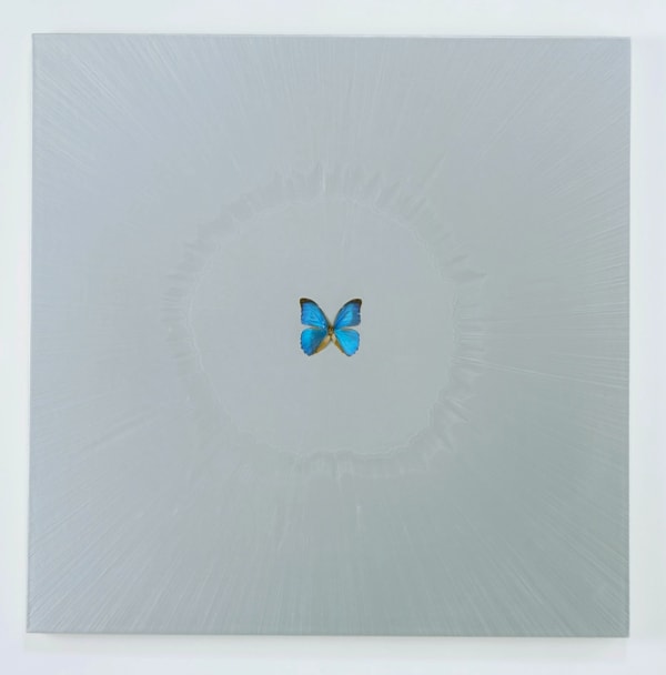 Damien-Hirst-Chaos