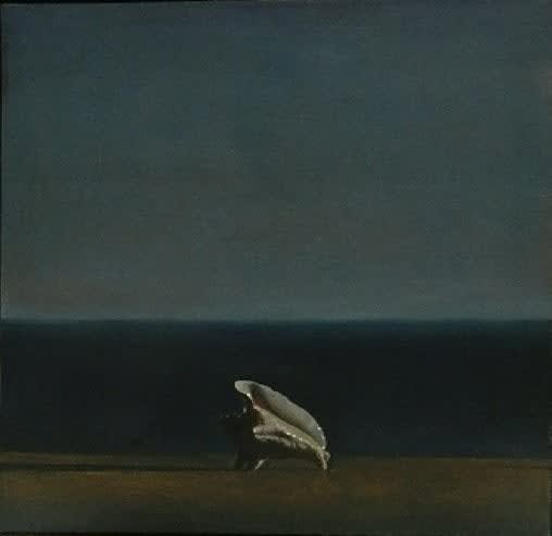 David Ligare, Single Conch, 1971