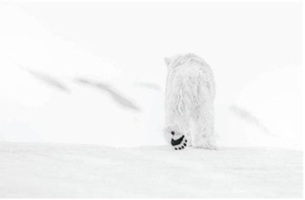 David-Yarrow-78-Degrees-North