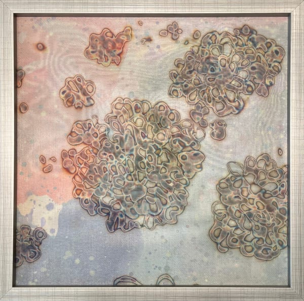 Mirang Wonne, Capturing Sunlight 1702