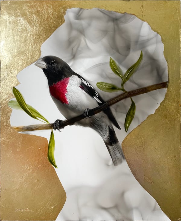 Steven Spazuk, Rose-breasted grosbeak