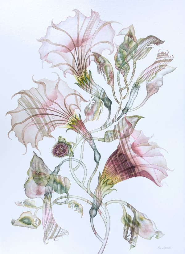 Eve Steccati, Outsider