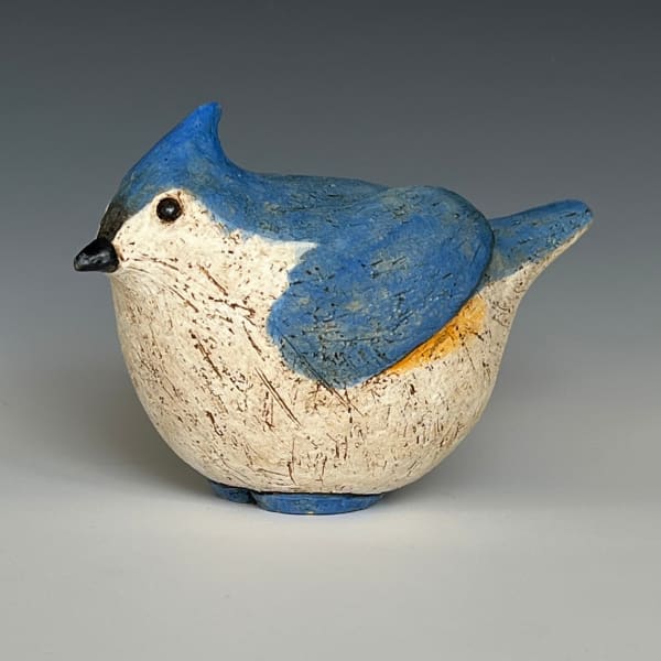 Fred Yokel, Tufted Titmouse