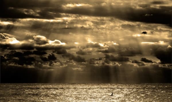 Albert Delamour, Sea in Montauk 1