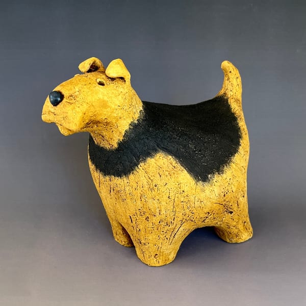 Fred Yokel, Welch Terrier