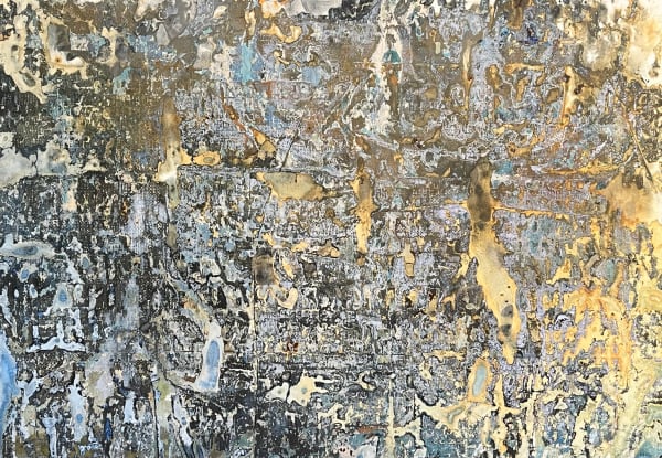 Bonny Novesky, Journey to Marshland