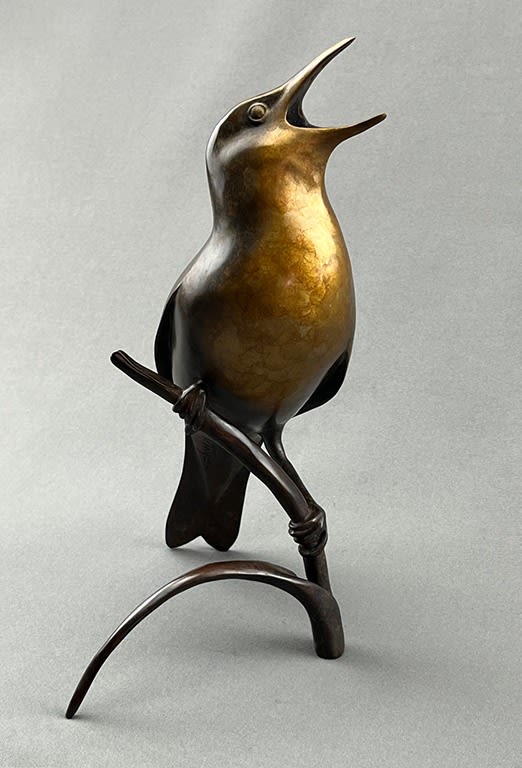 Kristine Taylor, Meadowlark