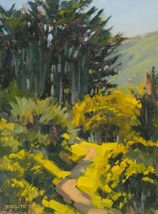 Tom Soltesz, Redwood Trail