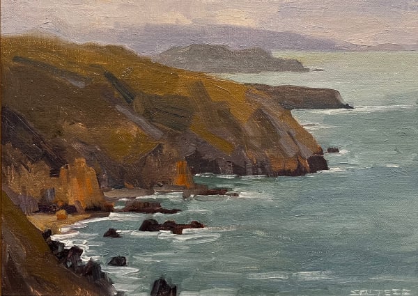 Tom Soltesz, Muir Beach From Above