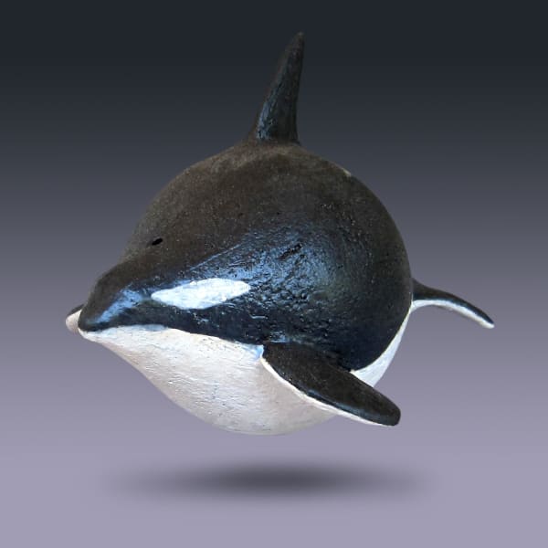 Fred Yokel, Killer Whale