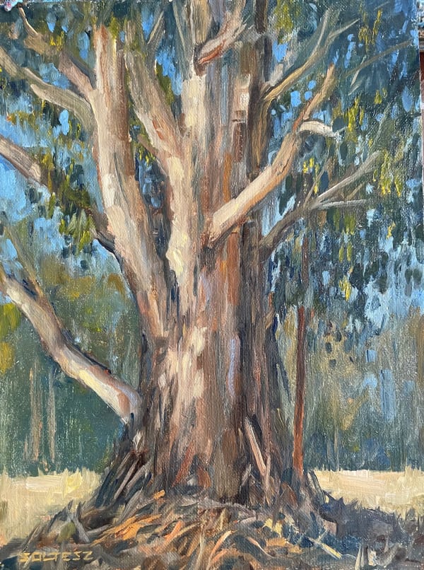 Tom Soltesz, Eucalyptus