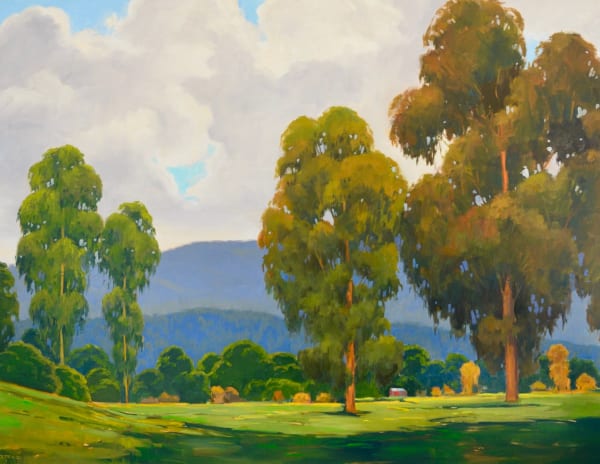 Tom Soltesz, Spring Eucalyptus
