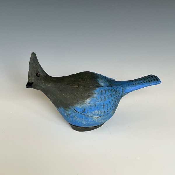 Fred Yokel, Steller's Jay