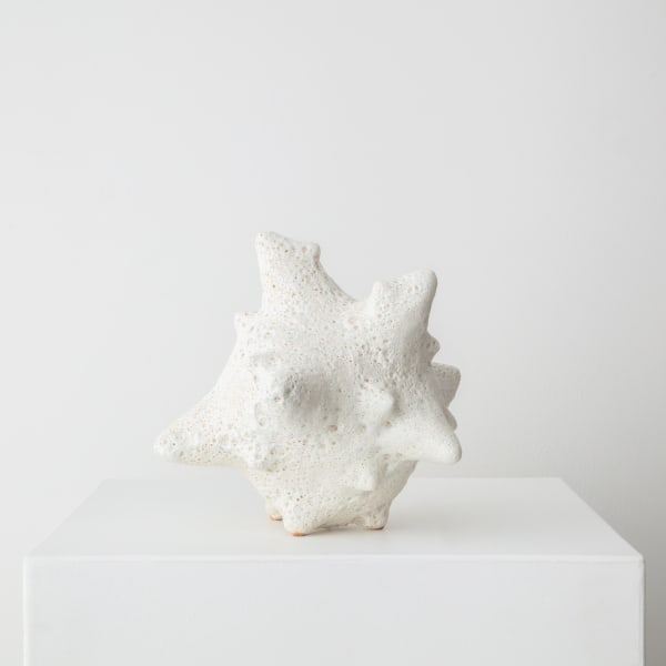 Pseudopodia Sculpture n. 111