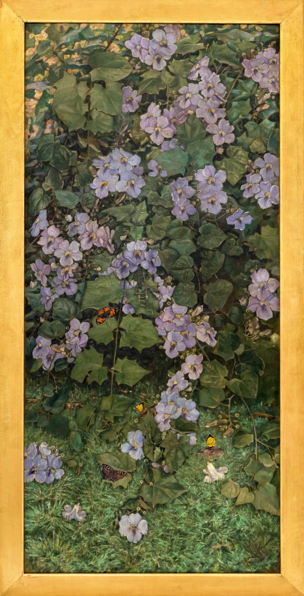 Winifred Strangman (1874 - 1955), Bengal Clock Vine (Thunbergia grandiflora), c. 1930s