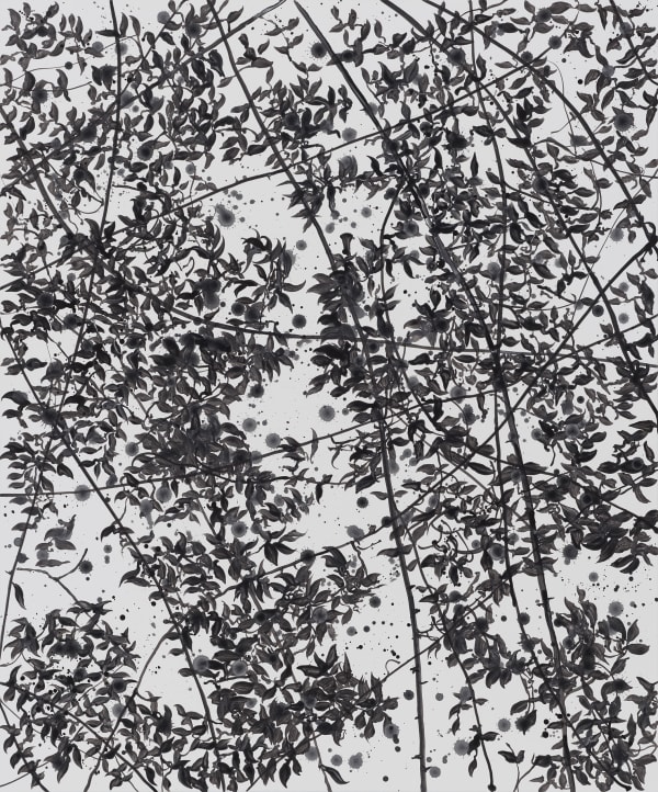 Give them sunshine, 2020