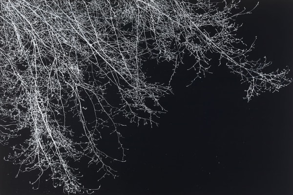 My shining hour, 2015