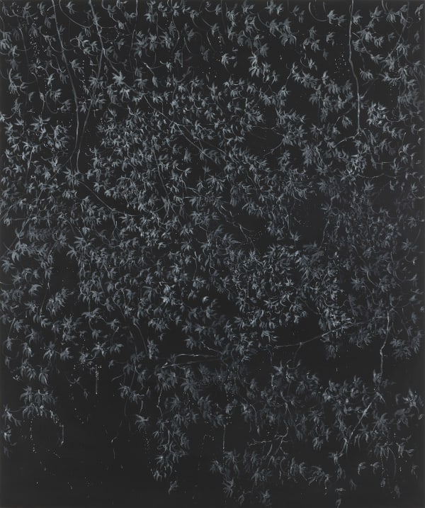 Leaving this darkness behind, 2020