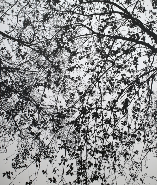 Nothing looks the same in the light, 2012