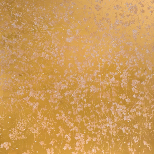 Goldfinch Sings, 2024