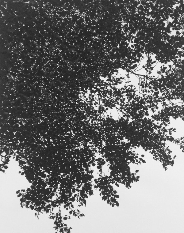 We could float among the stars, 2014