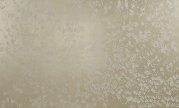 Trails of Light, 2025