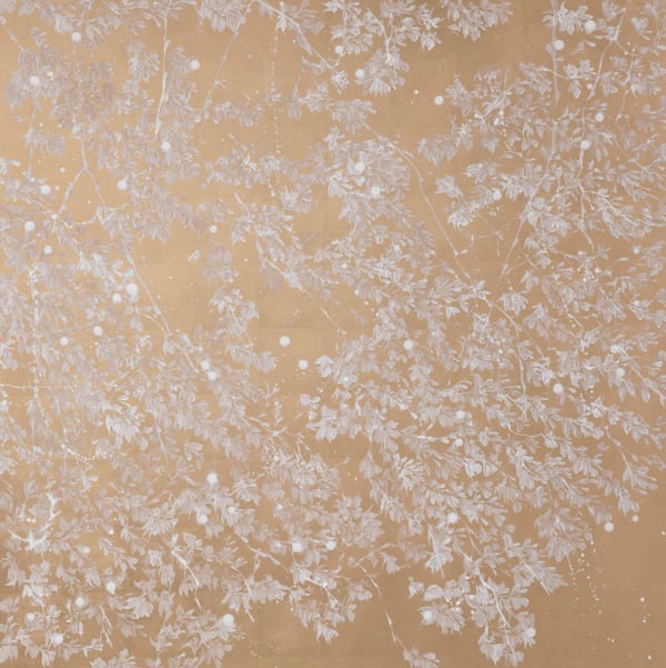 White Butterflies, 2024