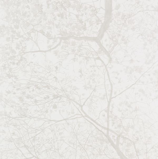 Waiting for the moon, 2016