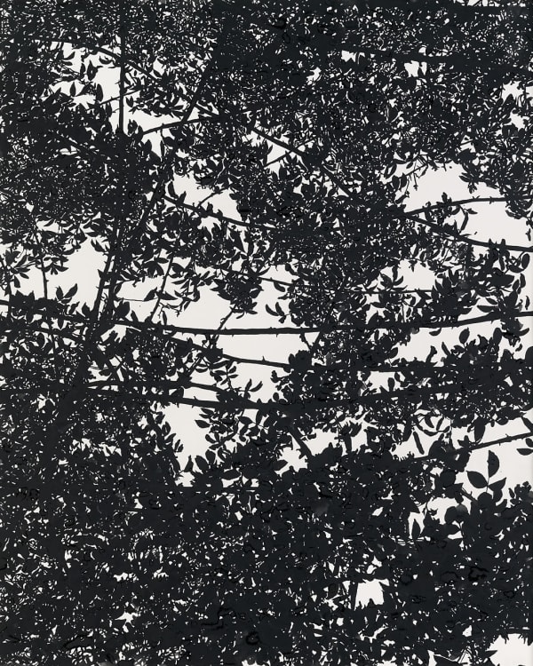 The sky is burning, 2014