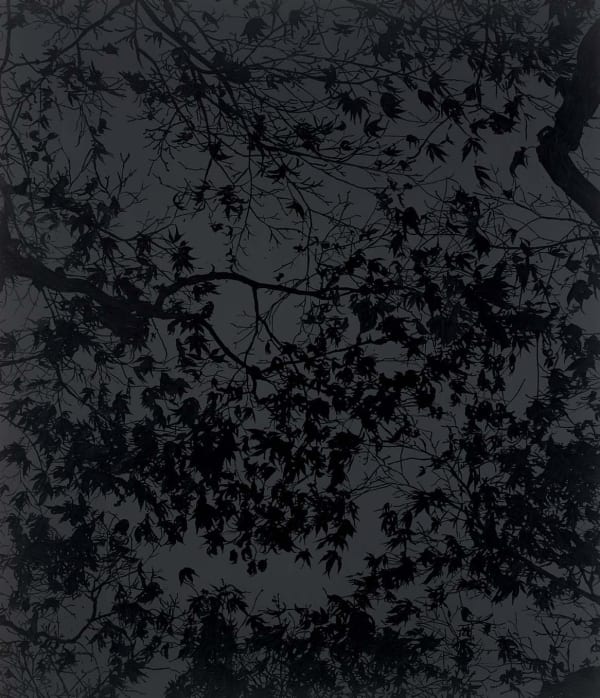 Enchanted evening, 2013